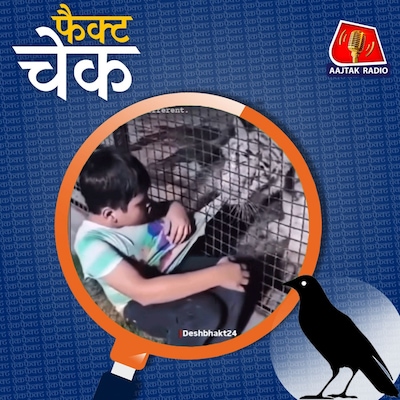 पिंजरे में बंद टाइगर ने पकड़ी मासूम की टी-शर्ट, वायरल वीडियो की असलियत: फैक्ट चेक