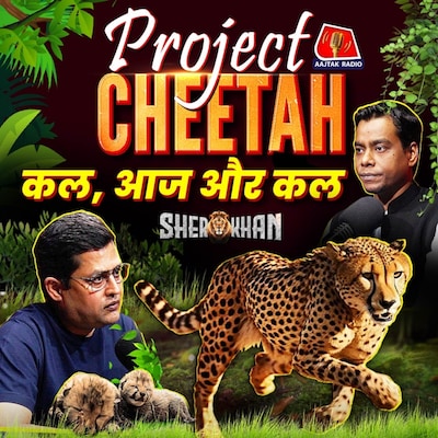 प्रोजेक्ट चीता - भारत में चीतों की वापसी की पूरी कहानी: Sher Khan, Ep 31