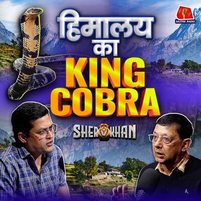 King Cobra, Tom Alter साहब पर बात Suri Sahab के साथ: Sher Khan, Ep 32