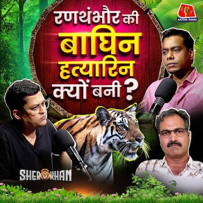 रणथंभौर में रेंजर्स पर जानलेवा हमला क्यों कर रहे हैं टाइगर: Sher Khan, Ep 43