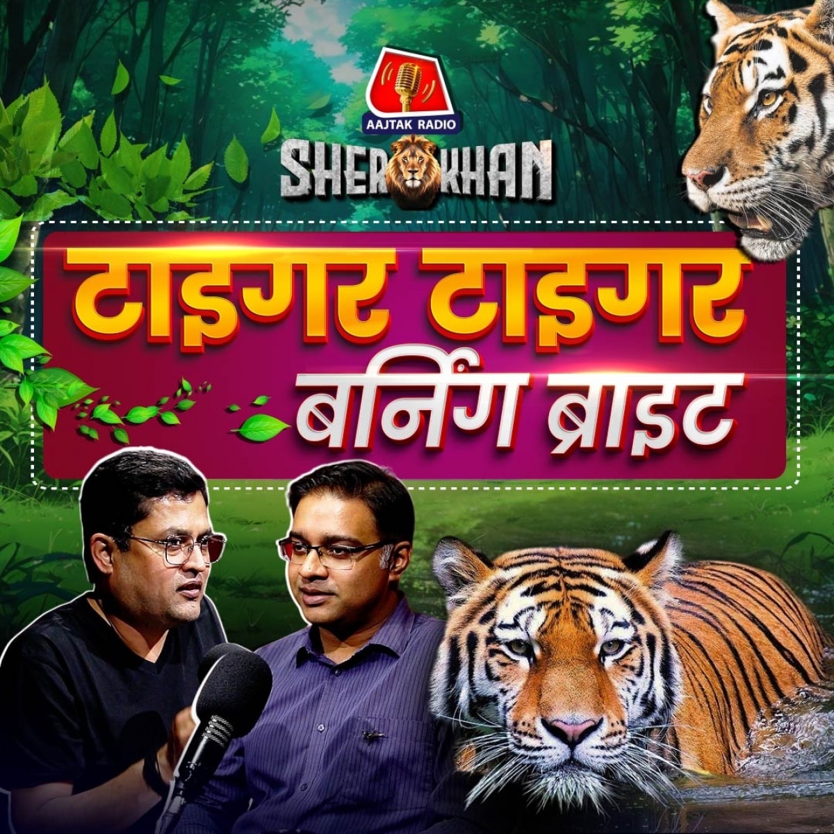 शिकार का कौन सा तरीका बनाता है बाघों को खास: Sher Khan Ep 53
