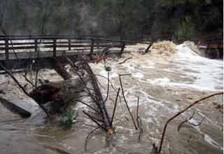 बिहार में बाढ़
