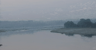 यमुना नदी