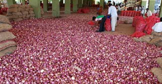 प्‍याज का निर्यात