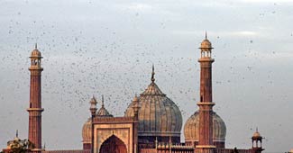 जामा मस्जिद