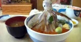 खाने में चलता-फिरता ऑक्टोपस