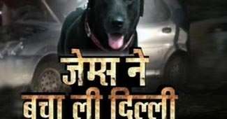 जेम्स ने बचा ली दिल्ली