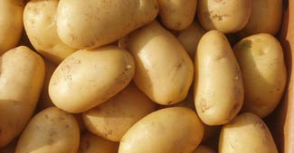 आलू का लुत्फ उठाइए