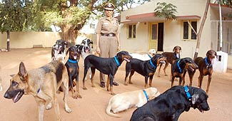 कुत्ते ने आदमी को गोली मारी