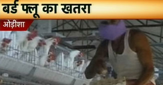 बर्ड फ्लू का खतरा