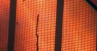 आयल मिल में आग