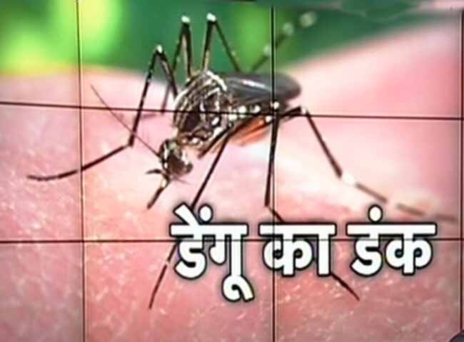 डेंगू