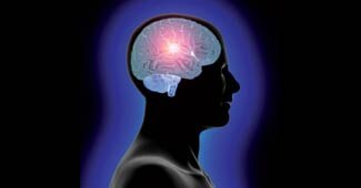 मस्तिष्क