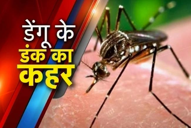 डेंगू के डंक