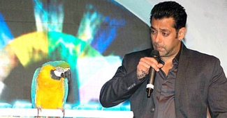 सलमान खान