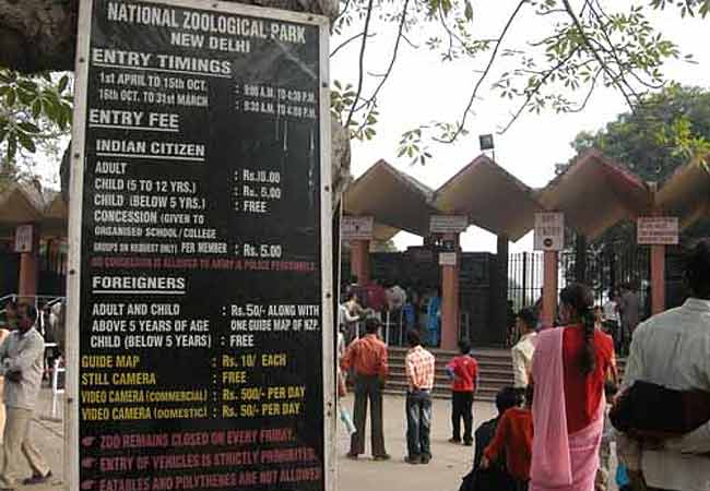 दिल्ली चिड़ियाघर