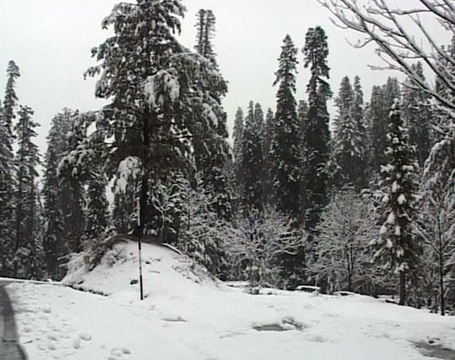 हिमाचल प्रदेश में बर्फबारी