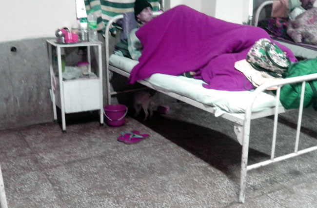 आरबीटीबी अस्‍पताल