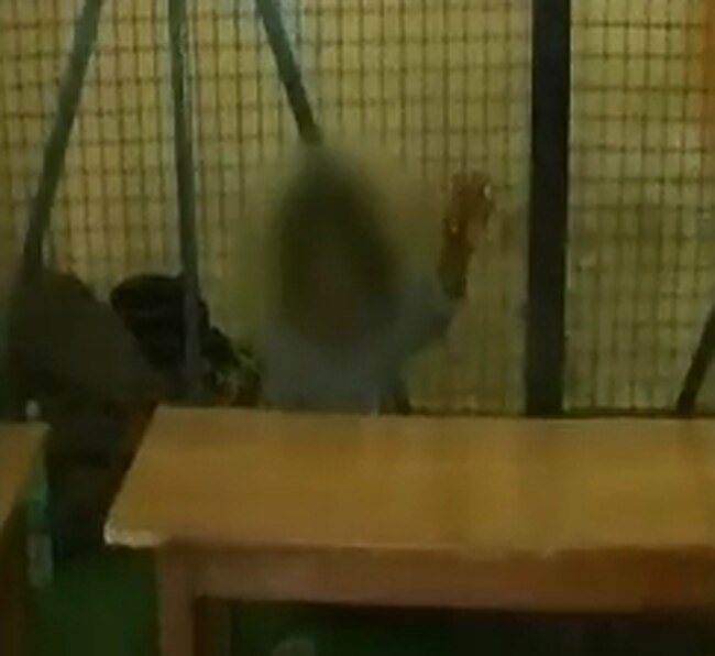 बुलंदशहर केस