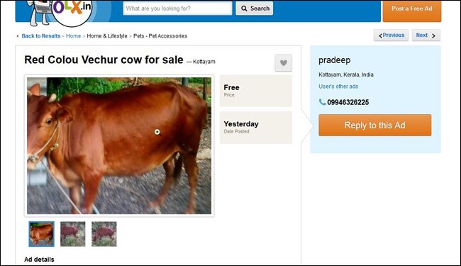 OLX