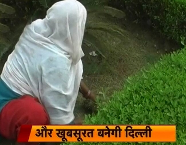 गार्डनिंग स्कूल