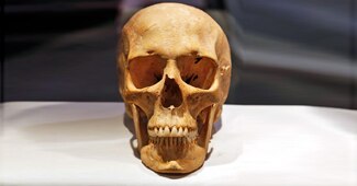 ऐसी ही खोपड़ियां जुटाता था सनकी आदमी