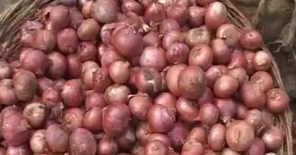 प्याज ने रुलाया