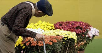 पीएफ के पैसे आए, बहार आई...