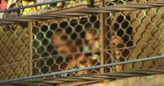 मानव तस्करी