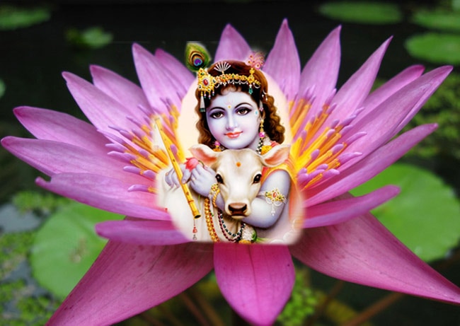 बाल कृष्‍ण का मनमोहक रूप...