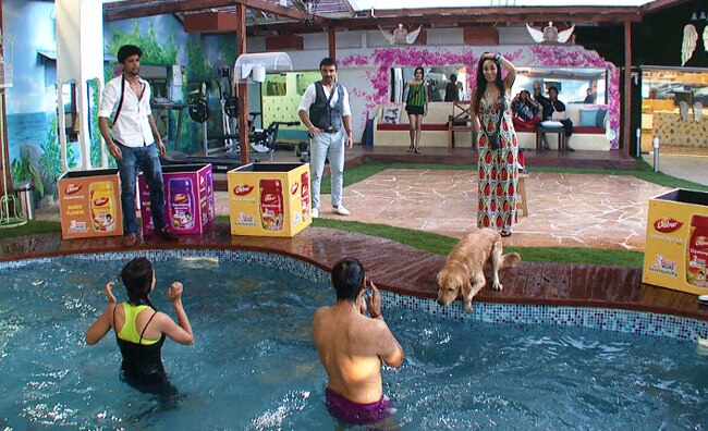 बिग बॉस के घर के पूल में गौहर और एंडी