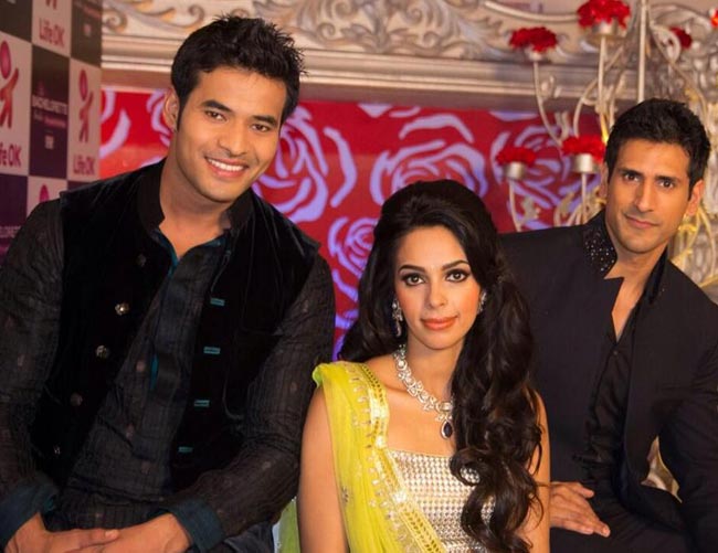 विजय सिंह, मल्लिका शेरावत और करण सागू