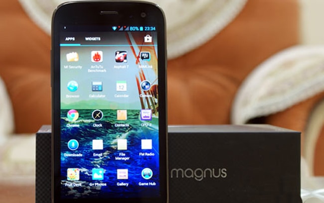 कैनवस मैग्नस