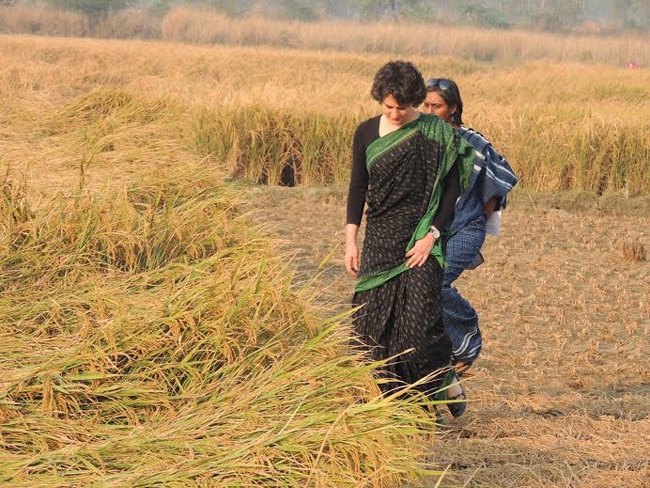 धान के खेत में प्रियंका गांधी