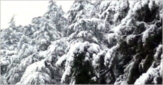 पहाड़ी इलाकों में भारी बर्फबारी