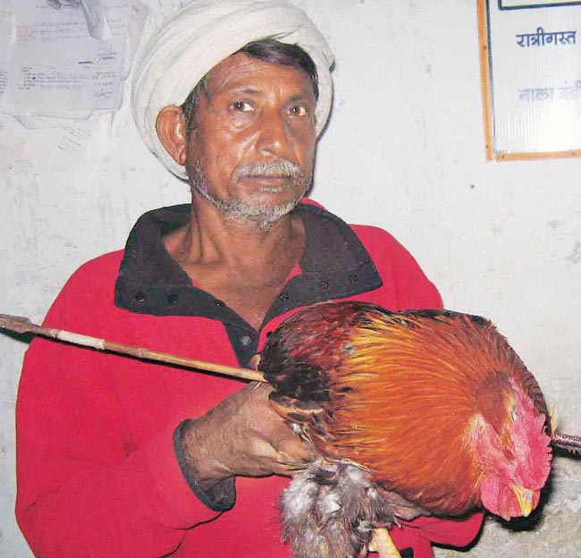 अपने घायल मुर्गे के साथ जगलिया भील