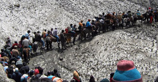 अमरनाथ यात्रा (फाइल फोटो)