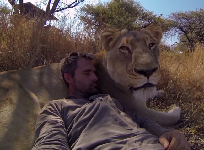 केविन रिचर्डसन शेर के साथ फुर्सत से