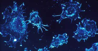 Symbolic Image: कैंसर जीन