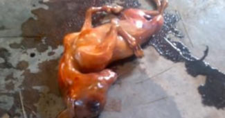 ये तस्वीर शेयर की गई है