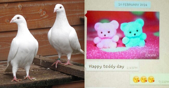 हैपी वैलेंटाइंस डे