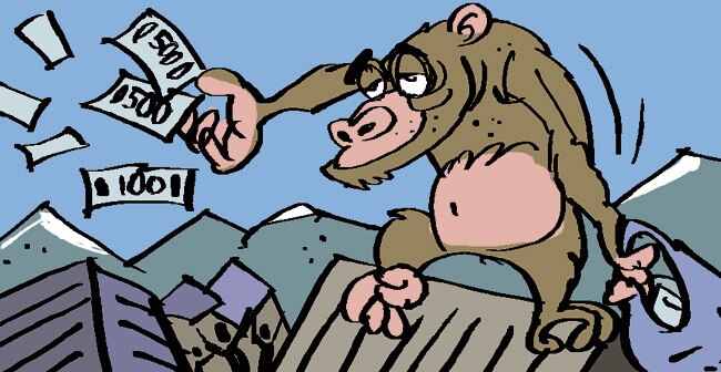 शिमला में बंदर का कारनामा