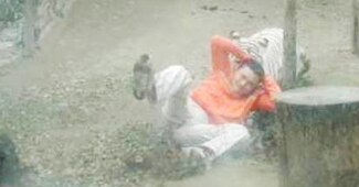 बाघों के सामने कूद पड़ा आदमी