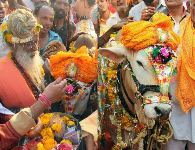 दुल्‍हन गंगा और दूल्‍हा प्रकाश