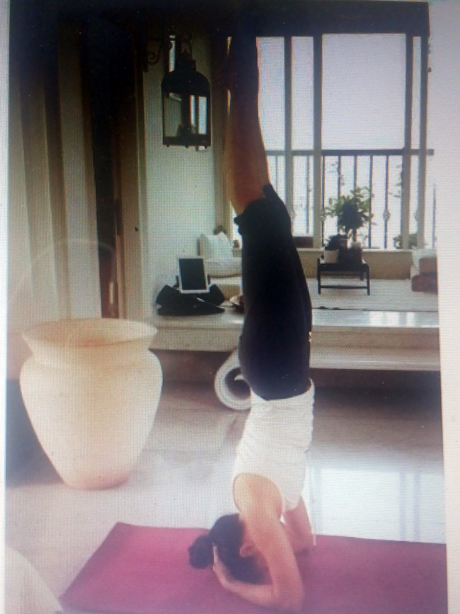 एक्शन फिल्मों के लिए खुद को तैयार कर रही हैं जैकलिन