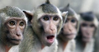 प्रतीकात्मक तस्वीर