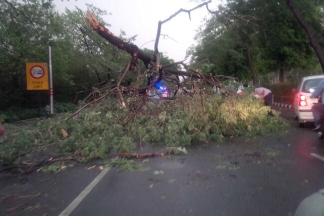 आंधी से टूटकर गिरी पेड़ की एक टहनी