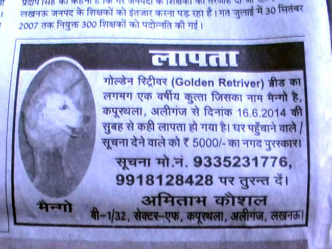 लखनऊ के अखबार में छपा लापता कुत्ते का विज्ञापन