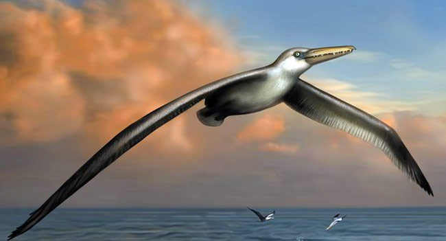 जीवाश्म