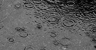 प्रतीकात्मक तस्वीर